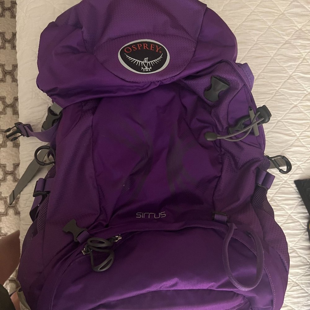 Osprey Backpack -- Purple